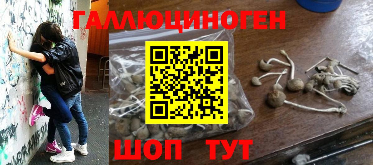 купить закладку  Галлюциногенные грибы мицелий  Вход с VPN  Оренбург 